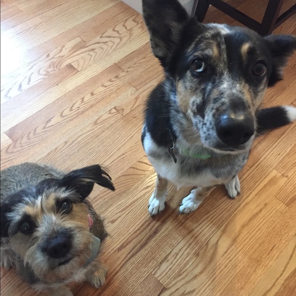 Meet your Posher, Lisa - Picture 1 of 1